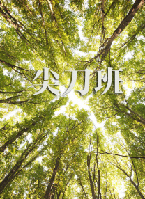 水蜜桃国产精品欧美日韩一区不卡
